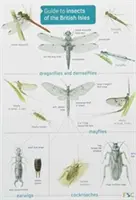 Útmutató a Brit-szigetek rovaraihoz - Guide to Insects of the British Isles