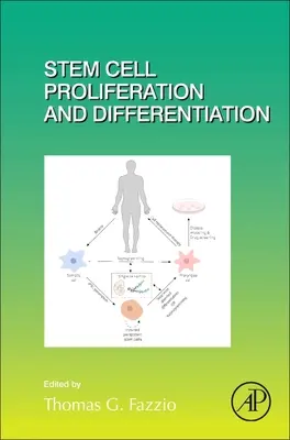 Az őssejtek proliferációja és differenciálódása, 138. - Stem Cell Proliferation and Differentiation, 138