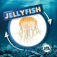 Medúza - Jellyfish