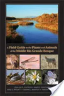 A Field Guide to the Plants and Animals of the Middle Rio Grande Bosque