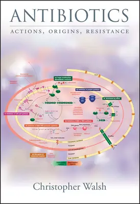 Antibiotikumok: Kihívások, mechanizmusok, lehetőségek - Antibiotics: Challenges, Mechanisms, Opportunities