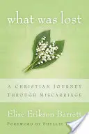 Ami elveszett: Egy keresztény utazás a vetélésen keresztül - What Was Lost: A Christian Journey Through Miscarriage