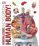 Tudásenciklopédia Az emberi test! - Knowledge Encyclopedia Human Body!