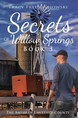 Tajemství Willow Springs - Kniha 3 - Secrets of Willow Springs - Book 3