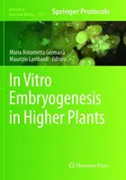 In vitro embriogenezis magasabb rendű növényekben - In Vitro Embryogenesis in Higher Plants