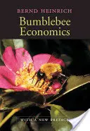 Dongó gazdaságtan: Új előszóval - Bumblebee Economics: With a New Preface