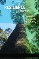 Rugalmassági gyakorlat: A zavarok elnyelésére és a működés fenntartására való képesség kiépítése - Resilience Practice: Building Capacity to Absorb Disturbance and Maintain Function