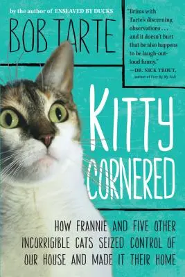 Kitty Cornered: Hogyan Frannie és öt másik javíthatatlan macska elfoglalta a házunkat, és otthonává tette azt - Kitty Cornered: How Frannie and Five Other Incorrigible Cats Seized Control of Our House and Made It Their Home