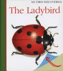 A katicabogár, 8 - The Ladybird, 8