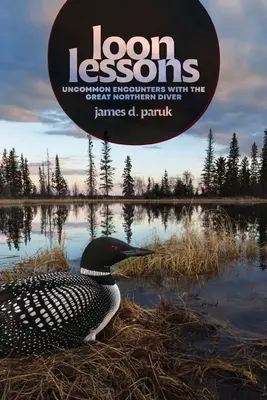 Loon leckék: Nem mindennapi találkozások a nagy északi búvárral - Loon Lessons: Uncommon Encounters with the Great Northern Diver