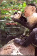 Manipulatív majmok: A Lomas Barbudal-i kapucinusok - Manipulative Monkeys: The Capuchins of Lomas Barbudal