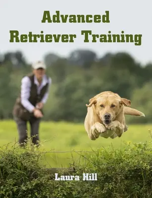 Haladó retriever kiképzés - Advanced Retriever Training