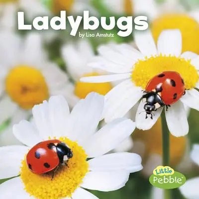 Katicabogarak - Ladybugs