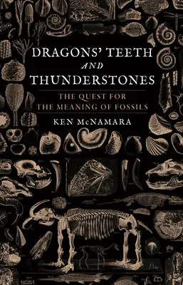 Sárkányfogak és villámkövek: A kövületek értelmének kutatása - Dragons' Teeth and Thunderstones: The Quest for the Meaning of Fossils