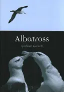 Albatros - Albatross