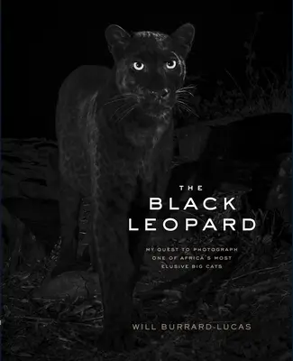 A fekete leopárd: Afrika egyik legelrejtettebb nagymacskájának fotózására irányuló törekvésem - The Black Leopard: My Quest to Photograph One of Africa's Most Elusive Big Cats