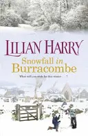 Hóesés Burracombe - Snowfall in Burracombe