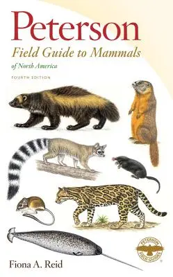 Peterson Field Guide to Mammals of North America (Észak-Amerika emlősei) - Peterson Field Guide to Mammals of North America