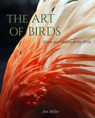 A madarak művészete: Grace and Motion in the Wild - The Art of Birds: Grace and Motion in the Wild