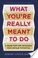 Amire igazán hivatott vagy: Útiterv egyedi potenciálod eléréséhez - What You're Really Meant to Do: A Road Map for Reaching Your Unique Potential