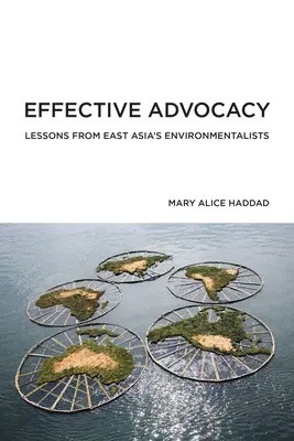 Hatékony érdekérvényesítés: A kelet-ázsiai környezetvédők tanulságai - Effective Advocacy: Lessons from East Asia's Environmentalists