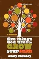 Öt dolog, amit Isten arra használ, hogy növelje a hitedet - Five Things God Uses to Grow Your Faith