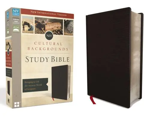 NIV, Cultural Backgrounds Study Bible, Bonded Leather, Black: Bringinging to Life the Ancient World of Scripture (A Szentírás ősi világának megelevenítése) - NIV, Cultural Backgrounds Study Bible, Bonded Leather, Black: Bringing to Life the Ancient World of Scripture