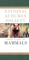 National Audubon Society Field Guide to North American Mammals (Nemzeti Audubon Társaság észak-amerikai emlősök terepkalauza) - National Audubon Society Field Guide to North American Mammals