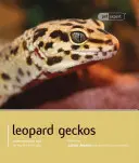 Leopárd gekkó - Leopard Gecko