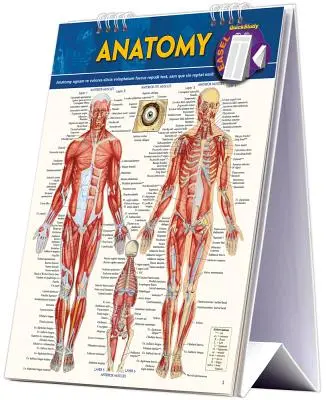 Anatómia Easel Book: A Quickstudy Reference Tool - Anatomy Easel Book: A Quickstudy Reference Tool