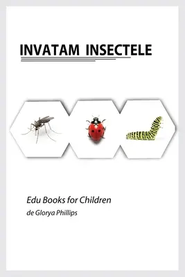 Invatam Insectele