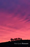 Pozůstatky - Remnants