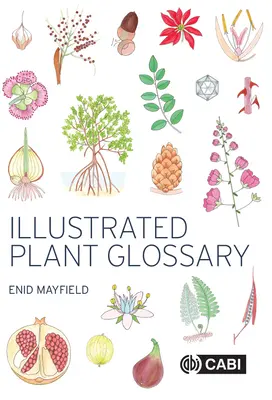 Illusztrált növényglosszárium - Illustrated Plant Glossary