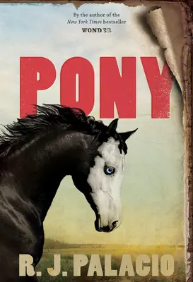 Póni - Pony