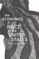 A faji gazdaságtan az Egyesült Államokban - Economics of Race in the United States