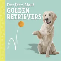 Gyors tények a golden retrieverekről - Fast Facts About Golden Retrievers