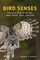 Madárérzékek: Hogyan és mit látnak, hallanak, szagolnak, ízlelnek és éreznek a madarak? - Bird Senses: How and What Birds See, Hear, Smell, Taste and Feel