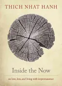 A moston belül: Meditációk az időről - Inside the Now: Meditations on Time