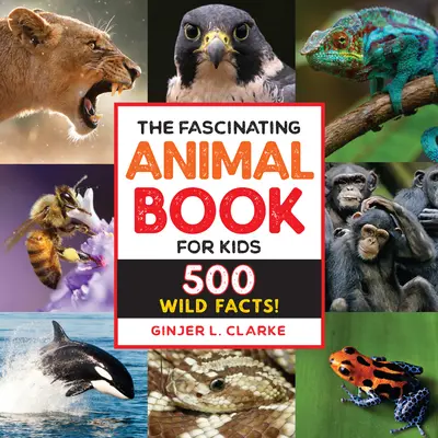 A lenyűgöző állatkönyv gyerekeknek: 500 vad tény! - The Fascinating Animal Book for Kids: 500 Wild Facts!