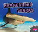 Hammerhead Sharks