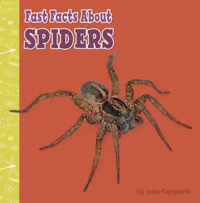 Gyors tények a pókokról - Fast Facts about Spiders