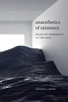 A létezés anesztéziája: Essays on Experience at the Edge - Anaesthetics of Existence: Essays on Experience at the Edge