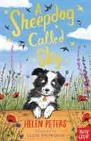 Sheepdog Called Sky