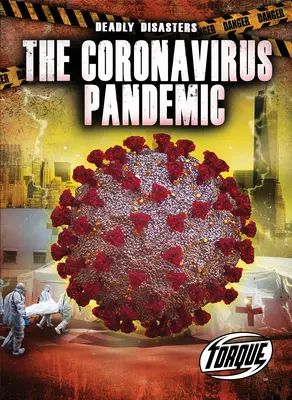 A koronavírus járvány - The Coronavirus Pandemic