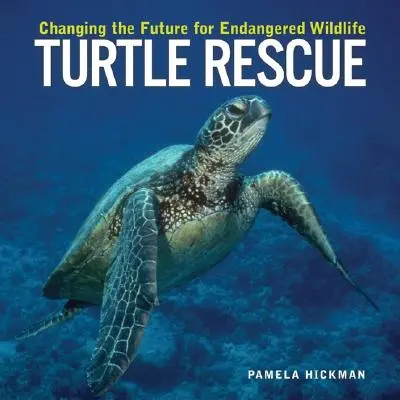 Teknőcmentés: A veszélyeztetett vadon élő állatok jövőjének megváltoztatása - Turtle Rescue: Changing the Future for Endangered Wildlife