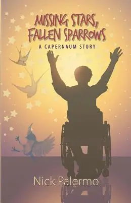 Hiányzó csillagok, leesett verebek - Missing Stars, Fallen Sparrows