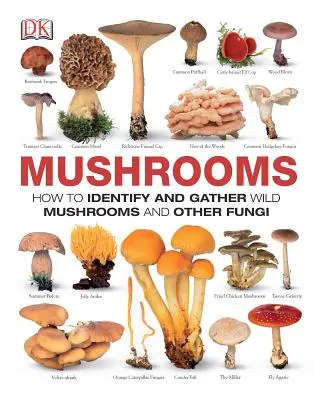 Gombák: Hogyan ismerjük fel és gyűjtsük a vadon élő gombákat és más gombákat? - Mushrooms: How to Identify and Gather Wild Mushrooms and Other Fungi