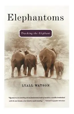 Elefántok: Az elefánt nyomában - Elephantoms: Tracking the Elephant