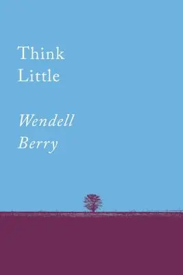 Think Little: Essays