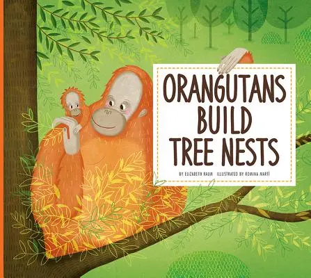 Az orangutánok fákat építenek - Orangutans Build Tree Nests